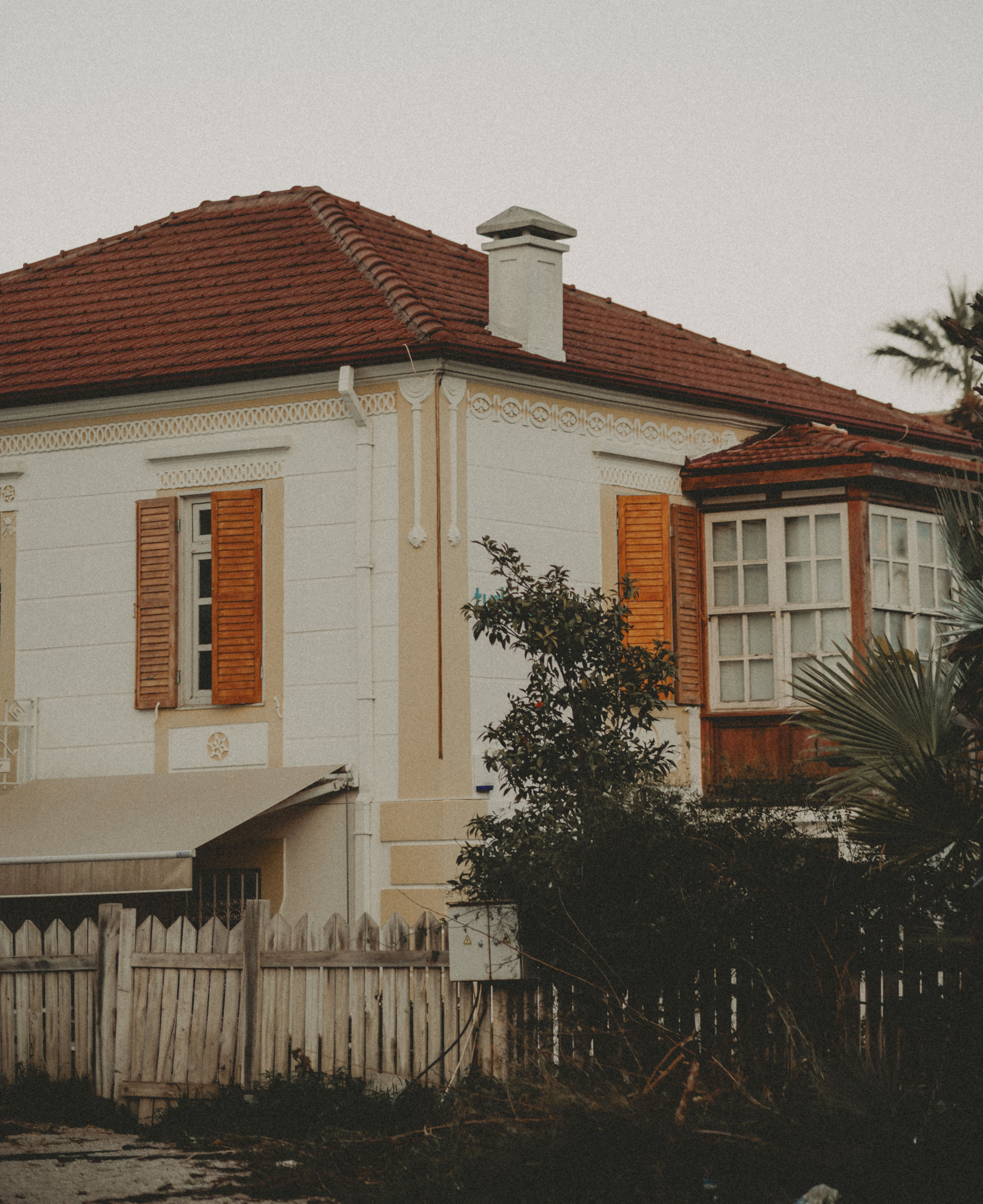 pexels-umudicreative-19866489